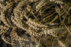 erntekrone2017_4