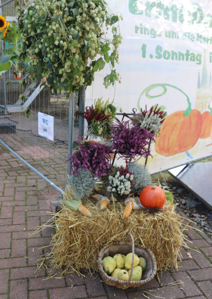 Kopie-1-von-IMG_1234