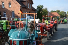 dorf2015DSC_0013