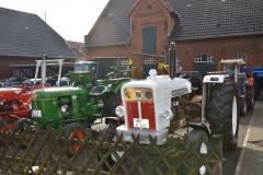 dorf2015DSC_0014