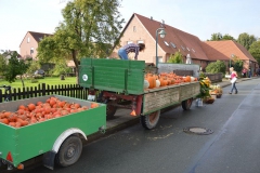 dorf2015DSC_0015