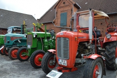 dorf2015DSC_0266